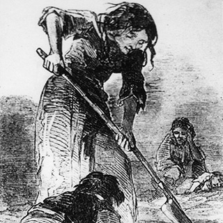 Irish peasant digging for potatoes, wearing rags, which were imported from Scotland